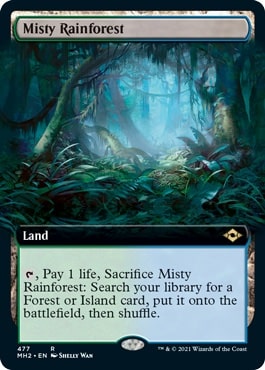 misty rainforest-min